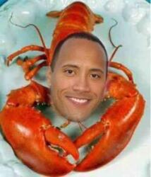 Rock Lobster Logo