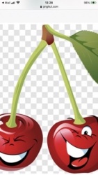 The Cherry Pits Logo