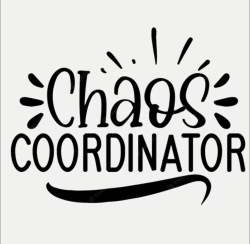 #8 - Chaos Coordinator Logo
