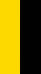 Black n Yellow Logo