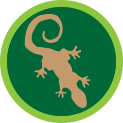 Salamanders 1 Logo