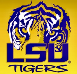 Tiger Bait Dynasty 2 Logo