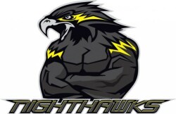 Nighthawks Logo