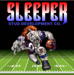 Mile High Sleeper Studs    X Logo