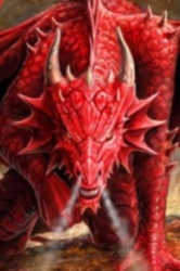 Red Bay Dragons Logo