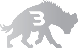 Hyenas Logo