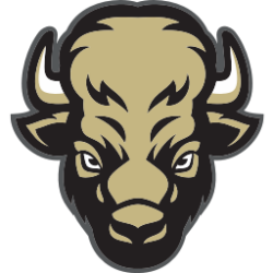 Bochum Buffalo Bandits Logo