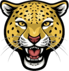 cheetahs Logo