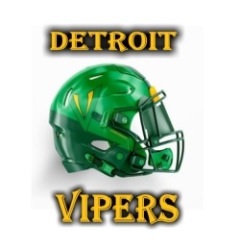DETROIT VIPERS Logo