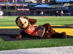 *Testudo Logo