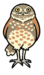 Burrowing Owl Logo