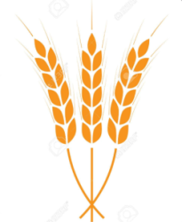 Regina Wheat Kings Logo