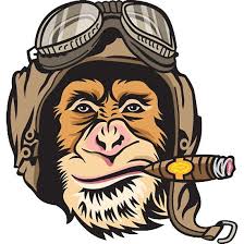 Flying Monkeys Logo