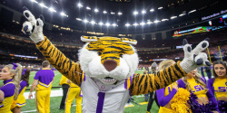 *Mike the Tiger Logo