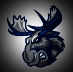 Iron City Raging Moose Logo