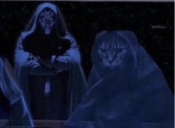 Darth Meow Logo