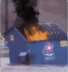 Dumpster Fire Logo