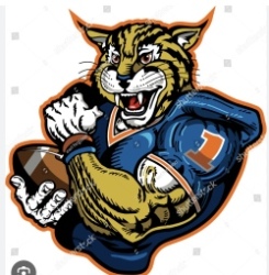 BOBCATS Logo