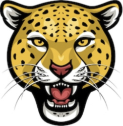 Cheetahs Logo