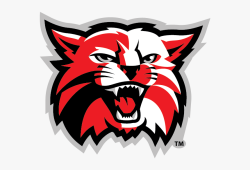 Wildcats 4 SF Logo