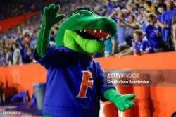 *Albert Gator Logo