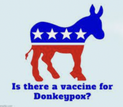 DonkeyPox Logo