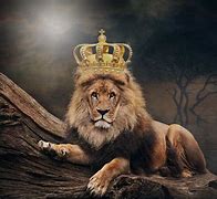 allen  cook mcmillen harriston jr Logo