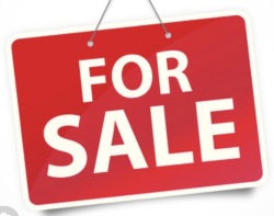 DSF3-250 For sale Logo