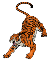 Crouching Tiger SF* Logo
