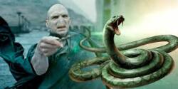 Voldemort's Snake Logo