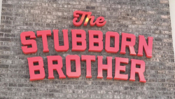 Stubborn Brother Dynasty Logo