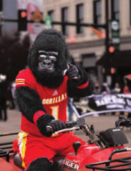 *Gus the Gorilla Logo