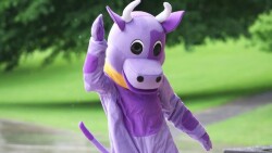 *Purple Cow Logo