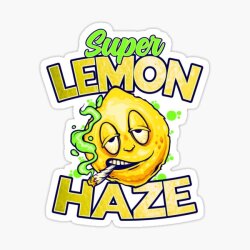 Super Lemon Haze (3rd- Jayden, 9th) Logo