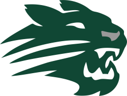Wildcats 61 Logo