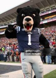 *Rebel Black Bear Logo
