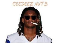 Ceedeez Nuts Logo