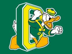Duck Dynasty Logo