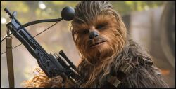 Withey's Wookiees logo