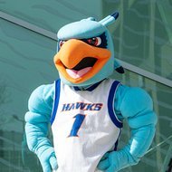 *Hugo the Hawk Logo