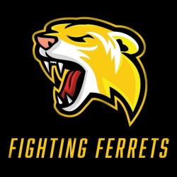Fighting Ferrets Logo