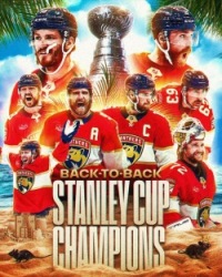 Back 2 Back Cats! Logo