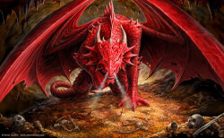 St. Louis Dragons Logo