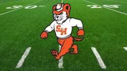 Bearkats Logo