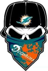 RaysFins 1 Logo