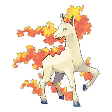 Rapidash Logo