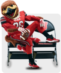 *Swoop Logo