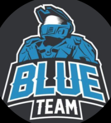 Blue Team Logo