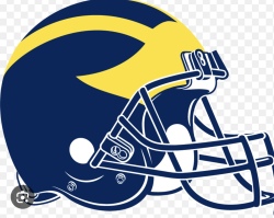 GO BLUE Logo