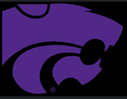 Wildcat Logo